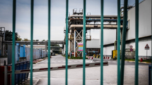 Stellantis, stabilimento Pomigliano fermo anche luned&igrave;