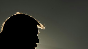 L'influence de Trump sur les r&eacute;publicains en question apr&egrave;s des r&eacute;sultats mitig&eacute;s &agrave; des primaires