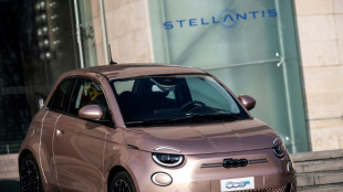 La production de la Fiat 500 &eacute;lectrique suspendue pendant un mois 