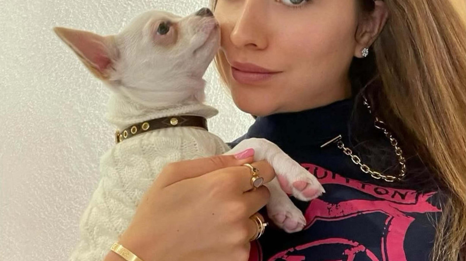 Pamela Genini uccisa con pi&ugrave; di 30 coltellate