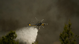 Waldbr&auml;nde: Zwei Tote bei Zusammensto&szlig; zweier L&ouml;schhubschrauber in Griechenland