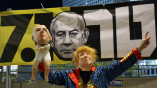 Netanyahu dice que "har&aacute; el trabajo" para aplicar la propuesta de Trump en Gaza