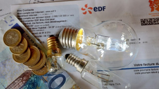 &Eacute;lectricit&eacute;: des entreprises d&eacute;sempar&eacute;es face &agrave; des prix toujours plus hauts