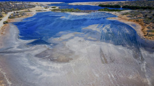 Erfolgreiche Klimaklage: Niederlande m&uuml;ssen Karibikinsel vor Klimwandel-Folgen sch&uuml;tzen