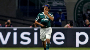 Br&eacute;sil: des footballeurs se disent victimes d'une escroquerie aux cryptomonnaies