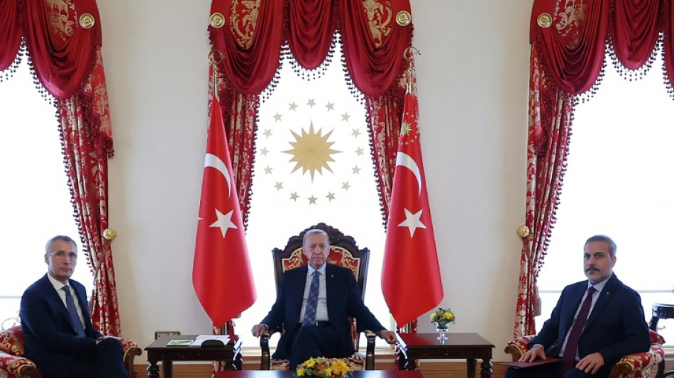 Erdogan dampens hopes of Sweden joining NATO in July