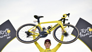 F&uuml;r Vingegaard: Br&uuml;cke &uuml;ber Gro&szlig;en Belt leuchtet rot-wei&szlig;