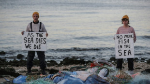 Pledge to protect oceans falling billions short: report