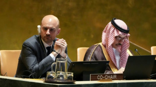 Plaidoyers &agrave; l'ONU pour la solution &agrave; deux Etats, isra&eacute;lien et palestinien