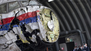 Gutachten: Niederlande m&uuml;ssen RTL nicht &uuml;ber Lage vor MH17-Abschuss informieren