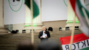 Premi&ecirc; h&uacute;ngaro promete eliminar rivais pol&iacute;ticos, ju&iacute;zes, imprensa e ONGs