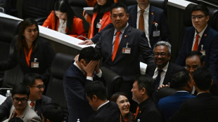 Thai parliament to hold another PM vote after reformist candidate falls short