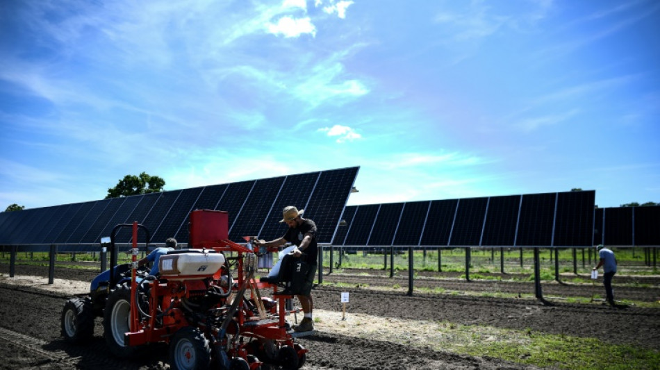 Energieagentur: Stromproduktion aus Erneuerbaren d&uuml;rfte 2025 Kohle &uuml;berholen