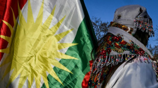 For&ccedil;as curdas anunciam acordo 'global' com o governo da S&iacute;ria