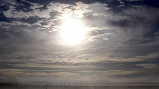 Copernicus, settembre 2024 il secondo pi&ugrave; caldo della storia