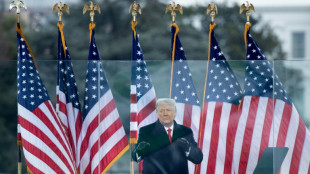 Congresistas de EEUU piden acusar a Trump de insurrecci&oacute;n y fraude por toma del Capitolio