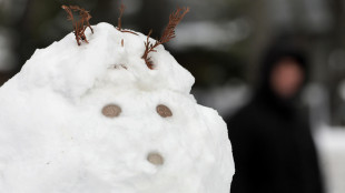 Il ricordo del freddo influenza il metabolismo