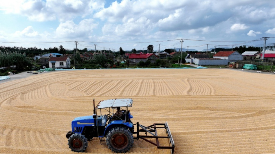 El crecimiento económico de China se desaceleró en el 3T, según un sondeo de la AFP