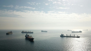 Ukraine grain deal in peril, fierce fighting in the east