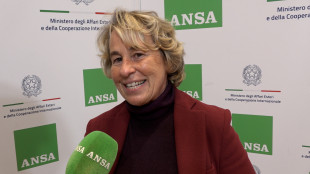 Craxi, 'mai come quest'anno &egrave; difficile il dialogo mediterraneo'