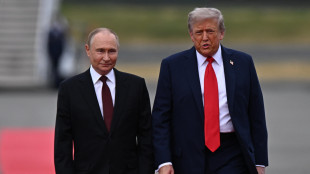 Putin, 'Trump sta facendo molto per la pace'