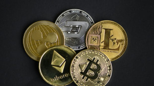 Russischer Gr&uuml;nder von Kryptow&auml;hrungsplattform Bitzlato in den USA festgenommen