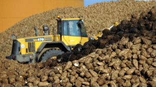 Pollution de l'Escaut: le sucrier Tereos condamn&eacute; &agrave; verser plus de 9 millions d'euros aux parties civiles