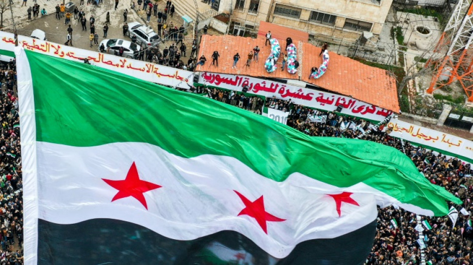 Pa&iacute;ses &aacute;rabes reclaman "papel de liderazgo" para solucionar crisis siria