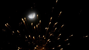 Bundesinnenministerium will Informationen zu Silvester-Randalierern vorlegen