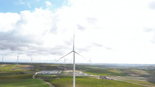 Pichetto, nel 2024 installati 7,5 Gw di nuove rinnovabili