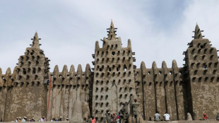 Des milliers de Maliens recr&eacute;pissent l'iconique mosqu&eacute;e de Djenn&eacute;