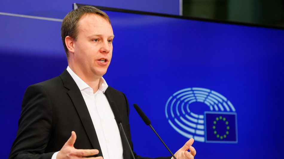 Verdi Ue, Merz rischia con AfD, errore gi&agrave; visto in Italia