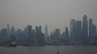 Letzte Generation bespr&uuml;ht Bar in Sylter Luxushotel mit oranger Farbe