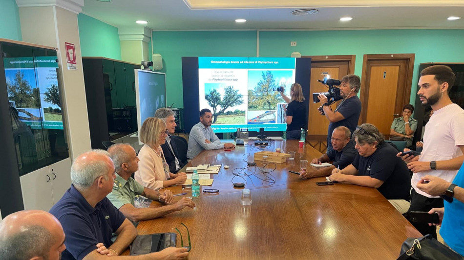 Foreste a rischio per siccit&agrave; e fungo, Sardegna corre ai ripari