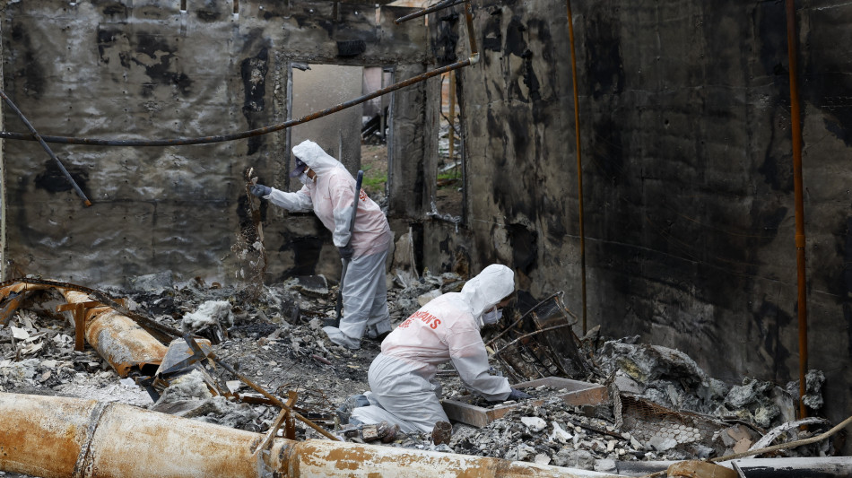 In California incendio minaccia gli alberi pi&ugrave; antichi del mondo