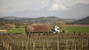 Los granjeros blancos sudafricanos que defiende Trump, primeras v&iacute;ctimas de sus aranceles
