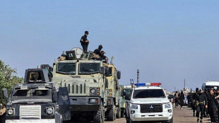 Combats dans le sud de la Syrie: une centaine de morts, Isra&euml;l intervient