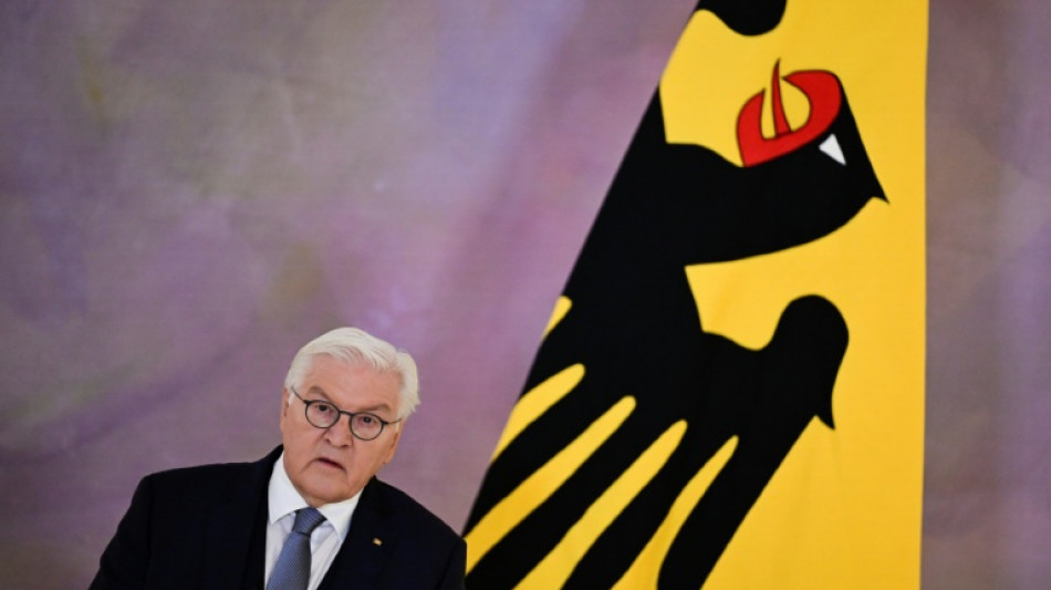 Steinmeier will mit "Ehrentag" in einem Jahr gesellschaftliches Miteinander st&auml;rken
