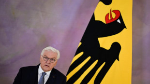 Steinmeier will mit "Ehrentag" in einem Jahr gesellschaftliches Miteinander st&auml;rken