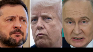 Zelensky alerta contra qualquer concess&atilde;o &agrave; R&uacute;ssia antes de liga&ccedil;&atilde;o com Trump