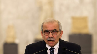 El nuevo primer ministro de L&iacute;bano tiende la mano a todos los partidos para "salvar" el pa&iacute;s