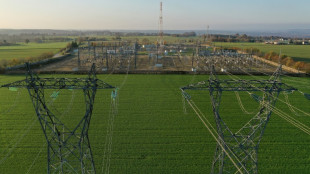 Rechtsextreme hinter Angriffen auf US-Umspannwerke bef&uuml;rchtet