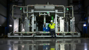 Umwelt- und Klimasch&uuml;tzer fordern von Bundesregierung Fokus auf gr&uuml;nen Wasserstoff