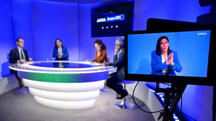 Schlein, esporre bandiera Palestina non &egrave; sostenere Hamas