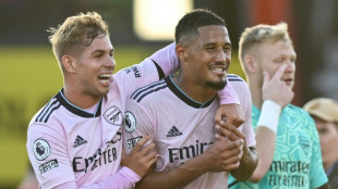 Angleterre: Arsenal en pleine confiance, Tottenham r&eacute;aliste