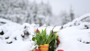 Ermittler warnen in Fall von get&ouml;teter Luise vor Falschmeldungen