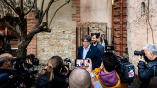 Independentista Puigdemont ser&aacute; candidato en regionales catalanas de mayo