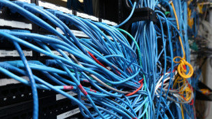 Ro&szlig;bach sieht gro&szlig;e Fortschritte bei Digitalisierung der Rentenversicherung