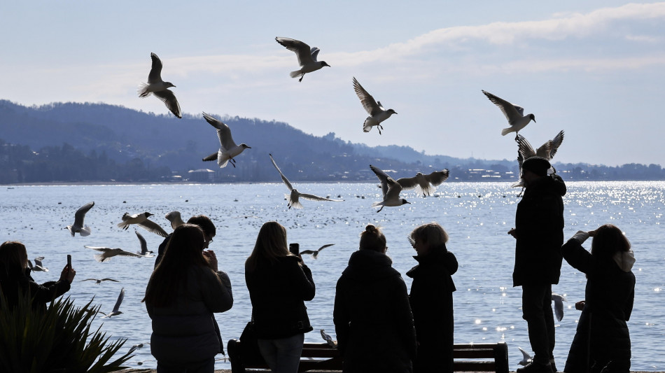 Zelensky, 'due i caccia russi abbattuti da droni navali'