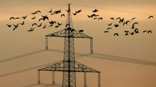 Edenhofer warnt f&uuml;r den Winter vor Versorgungskrise bei Strom